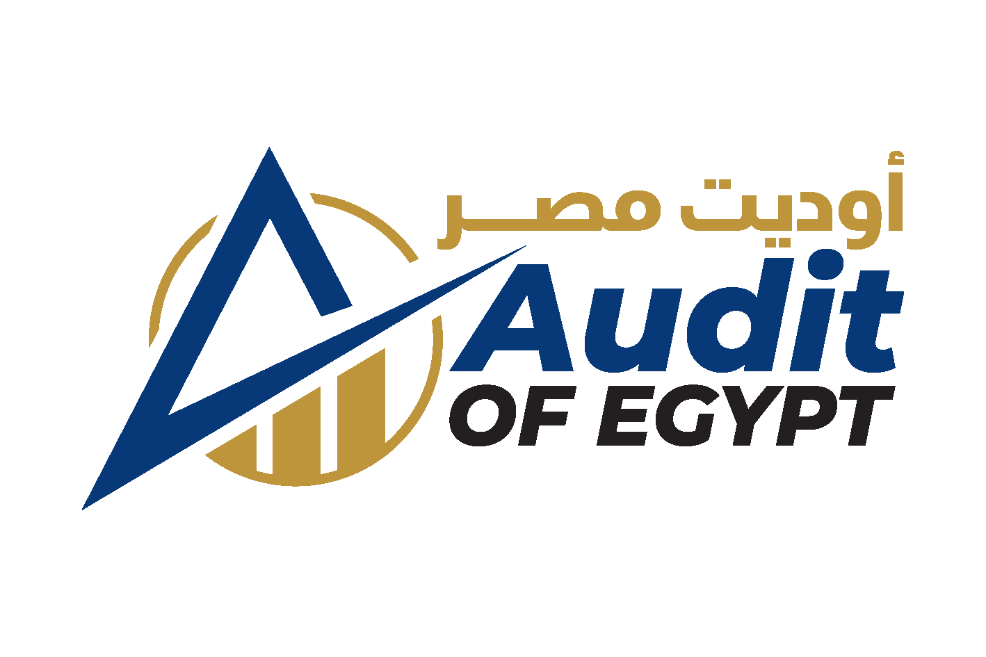 Audit of Egypt_Page_1
