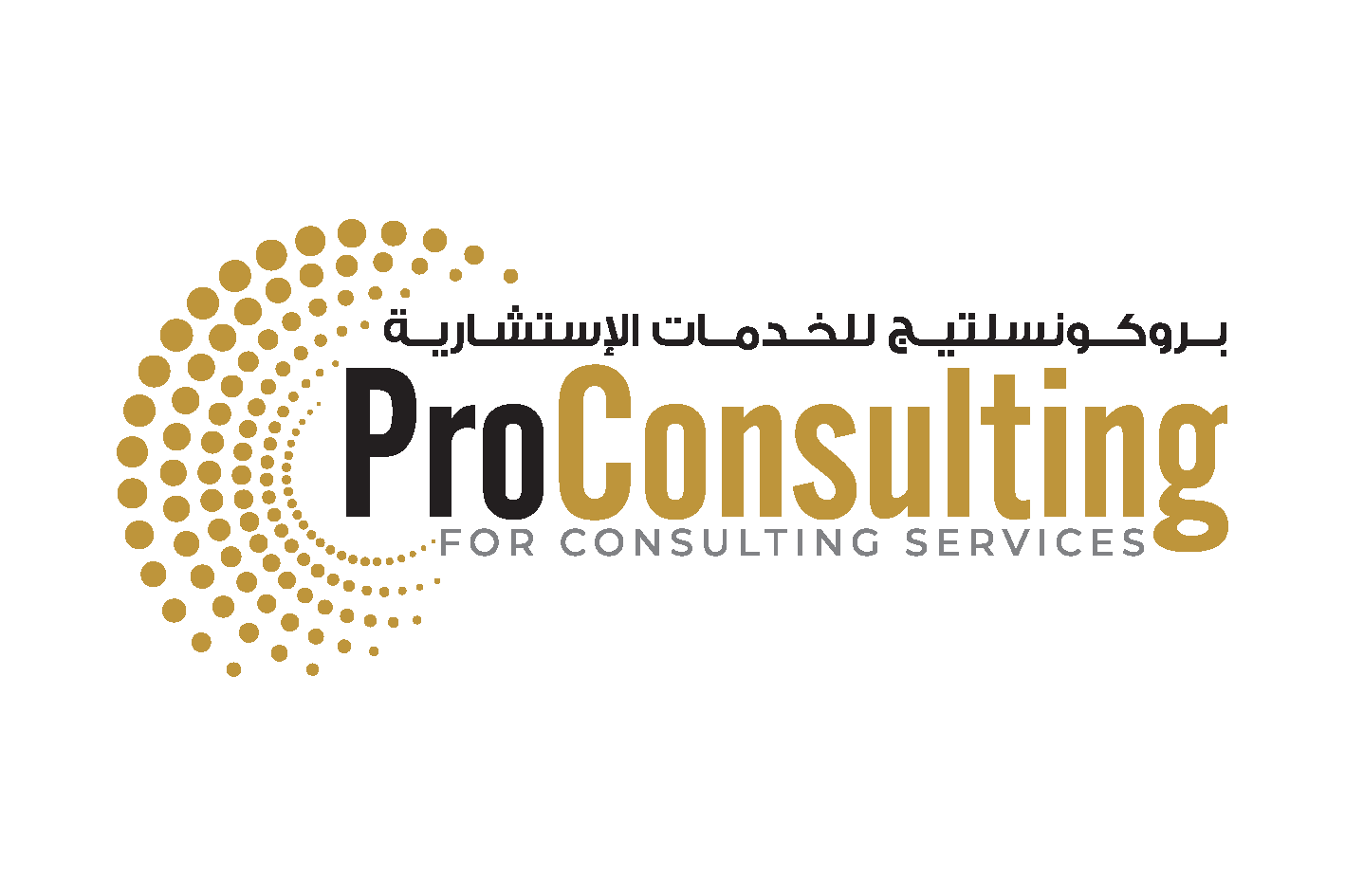 ProConsulting Logo_Page_1